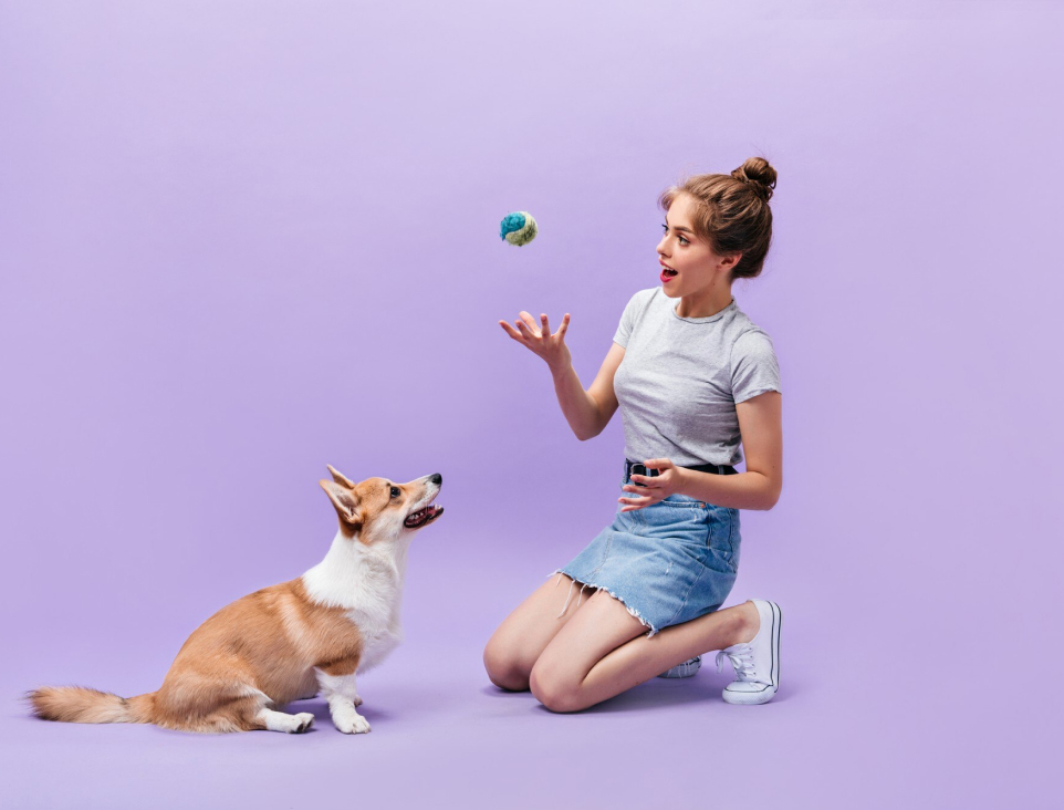 The dog lovers quotes