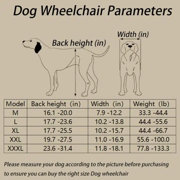 dog size measurements